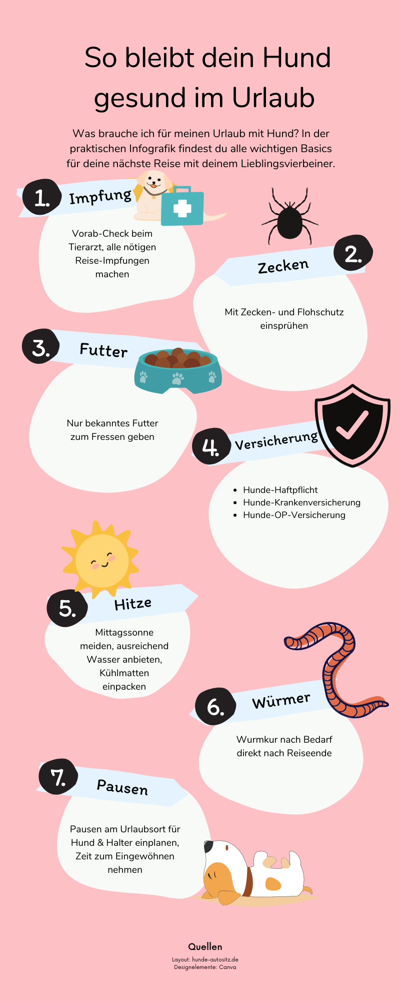 infografik hundegesundheit urlaub