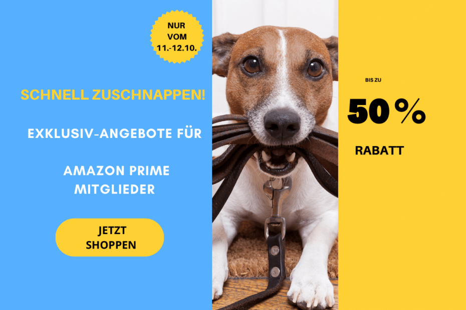 amazon prime angebote header 1200x900 1