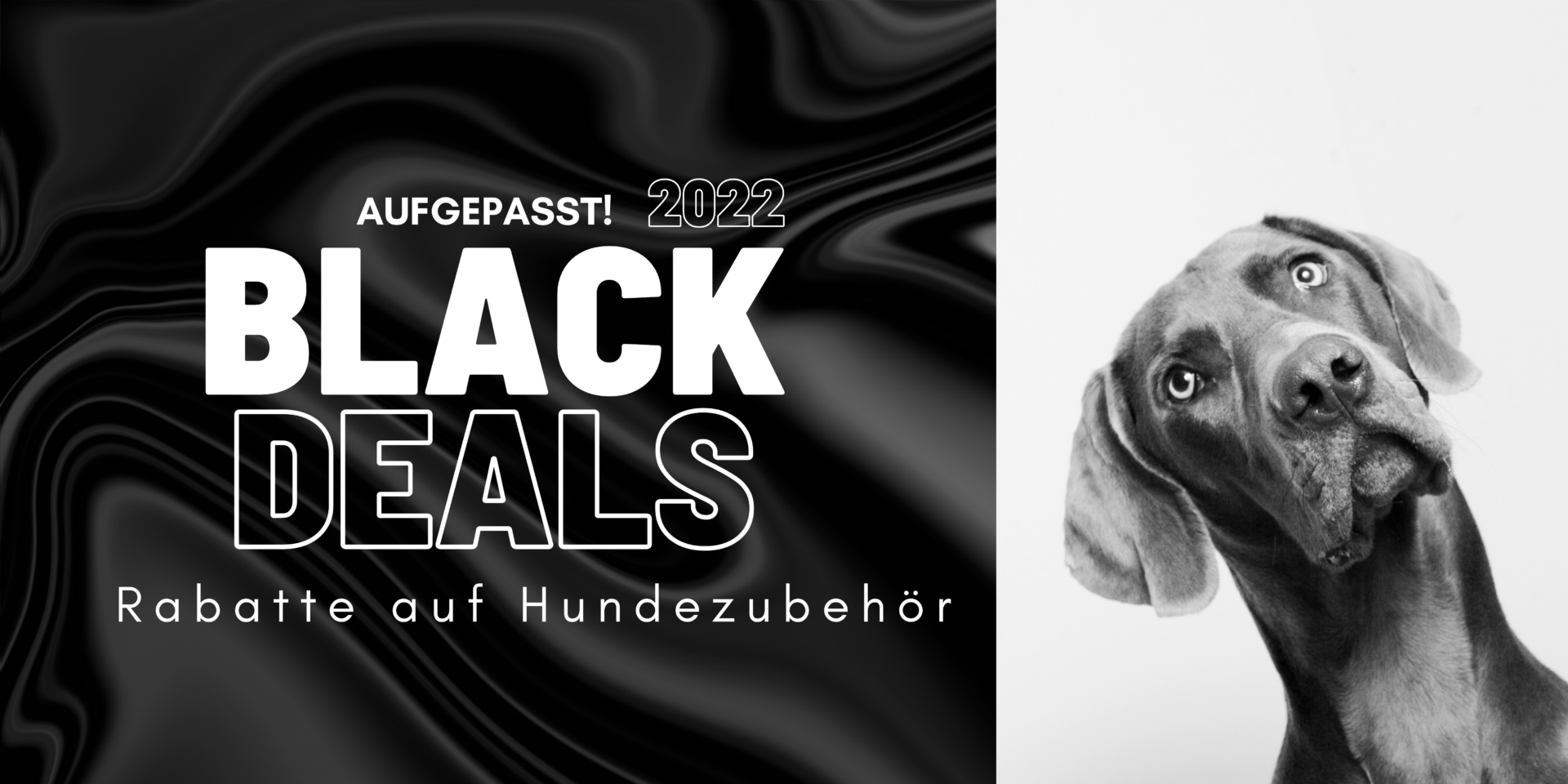 black deals 2022 hundezubehör