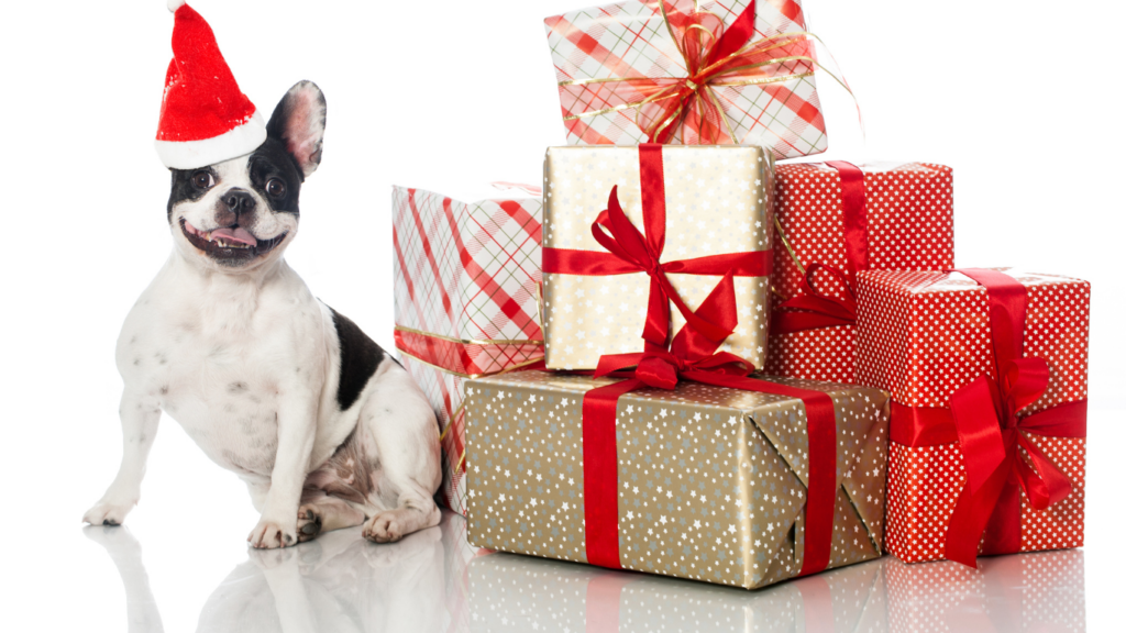 hundegeschenke zu weihnachten