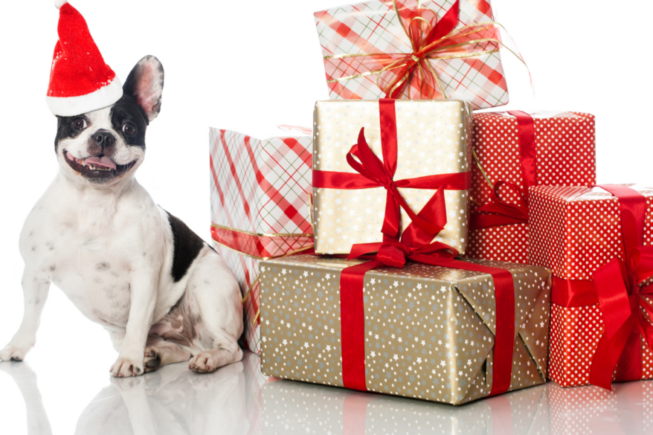 hundegeschenke zu weihnachten