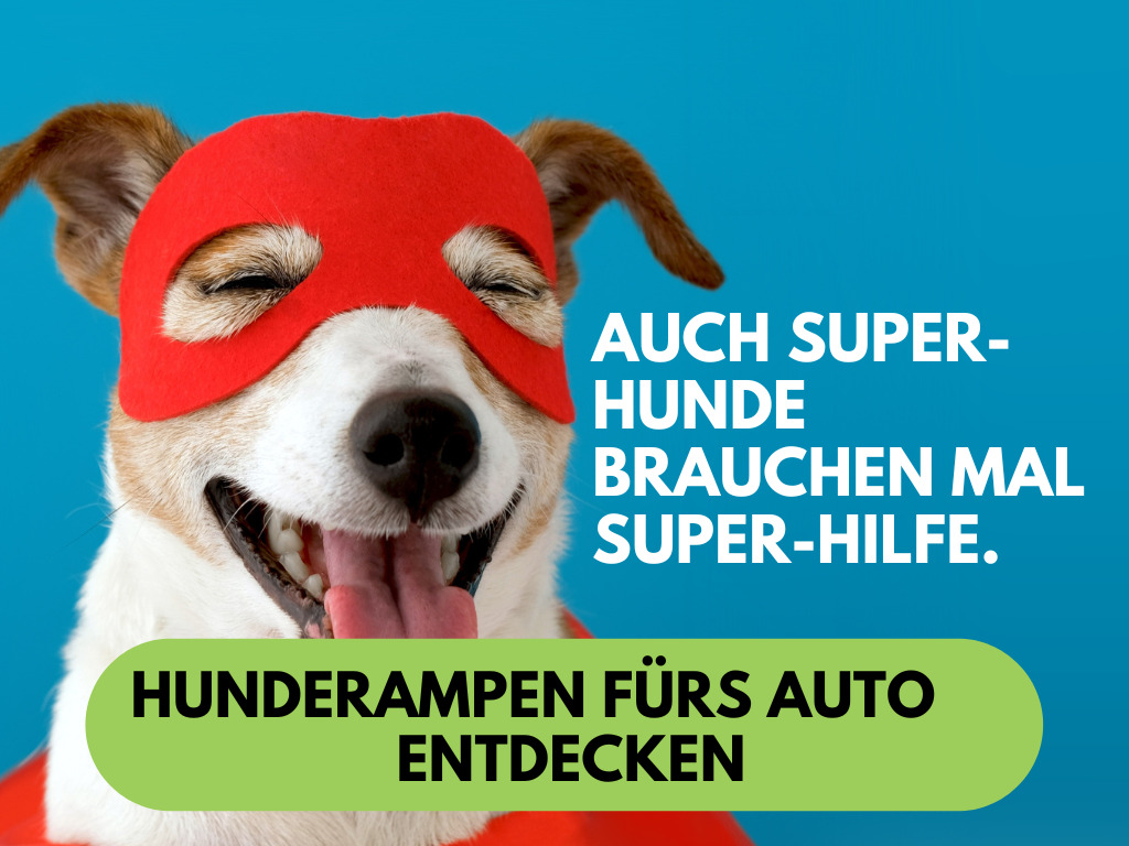 HELDENWERK Autoschondecke Hund Rücksitz wasserdicht & Kratzfest