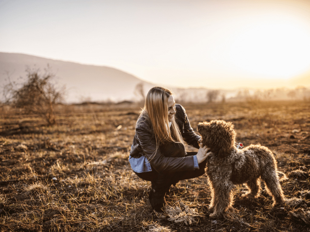 spaziergang mit hund