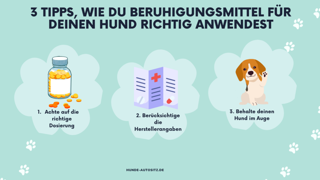 3 tipps wie du beruhigungsmittel für deinen hund richtig anwendest