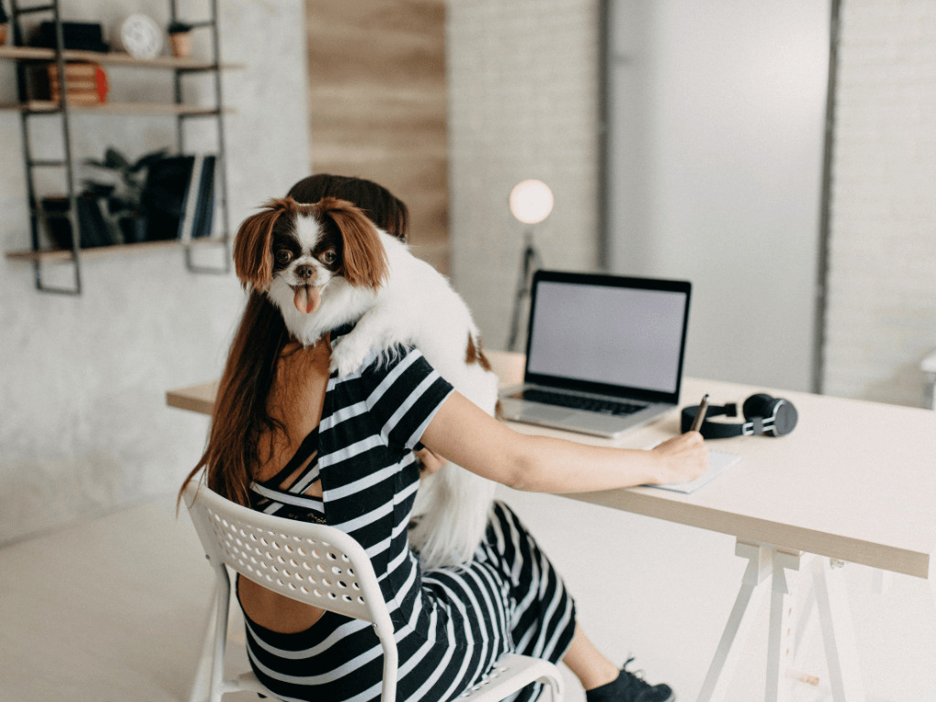 frau macht online hundeschule