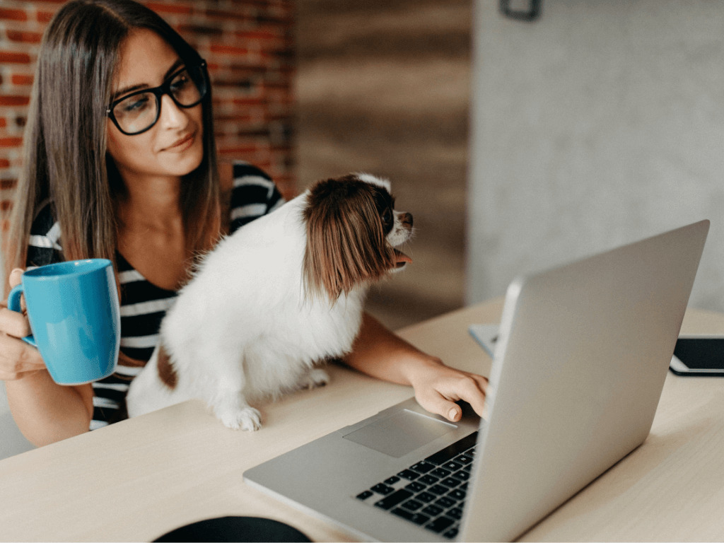 frau mit hund und laptop