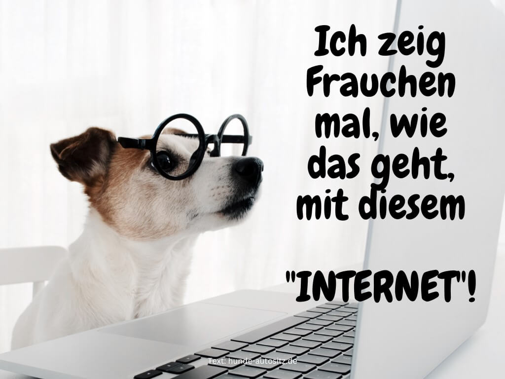 hund am laptop 2