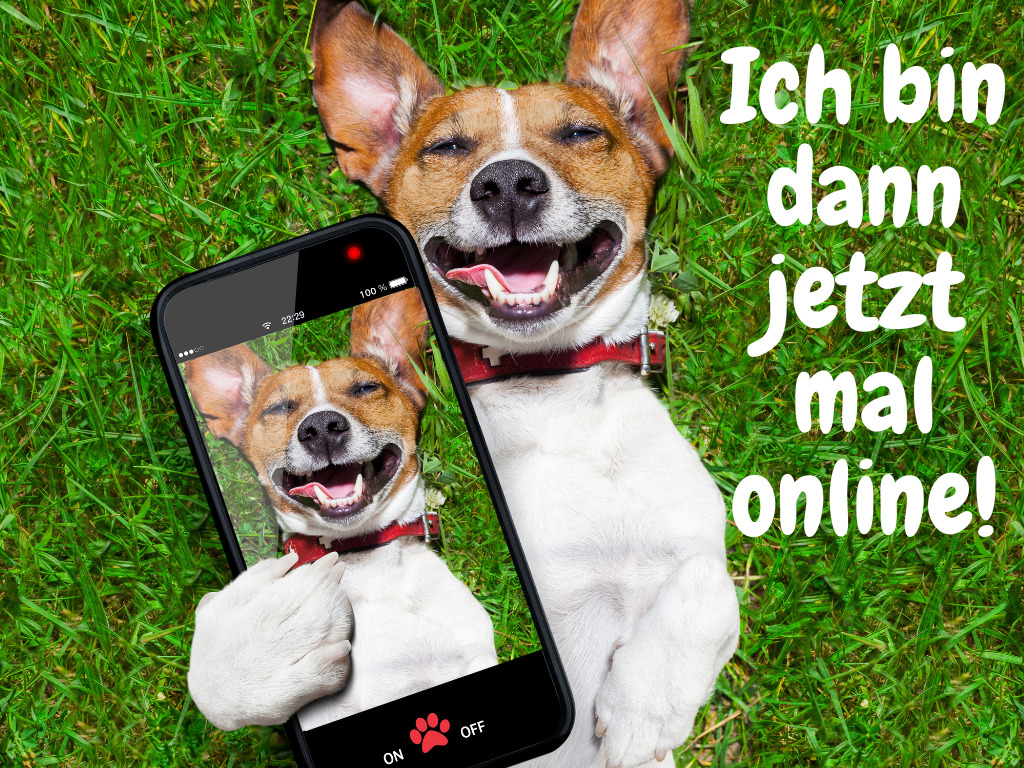 hund mit handy